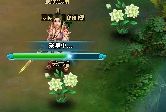 《梦幻飞仙》采集系统