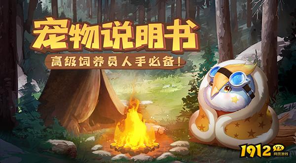 《龙之战歌》宠物系统
